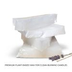 Physiotherapy Paraffin Wax Heating Bath, Low Melt Wax for Heat Therapy Pain Relief Wax 1KG
